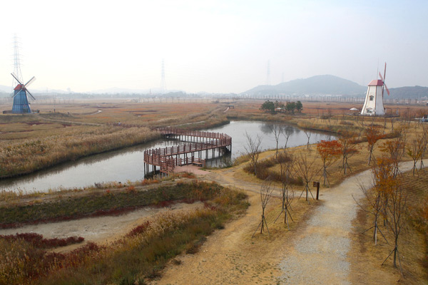 경기도 안산시 단원구 대부북동 (펜션에서 차량 약 15분 거리) 대부도 방아머리에 위치한 대부바다향기테마파크는 수변공원으로 1.2km의 자연형 수로를 만들고 곳곳에 연못을 만들었다. 또한 여의도 광장 면적의 약 4.3배의 크기인 테마파크 단지 내에 갈대와 꽃 등을 식재 하여 관광 및 휴식 공간을 조성하였다.